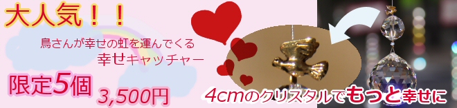 �������ѥ��󥭥�å��㡼����äȹ�������å��㡼