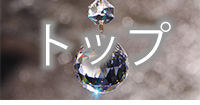 商品詳細右ボタン