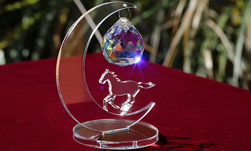 スワロフスキー♡50㎜クリスタルボール♡サンキャッチャー♡ みるく